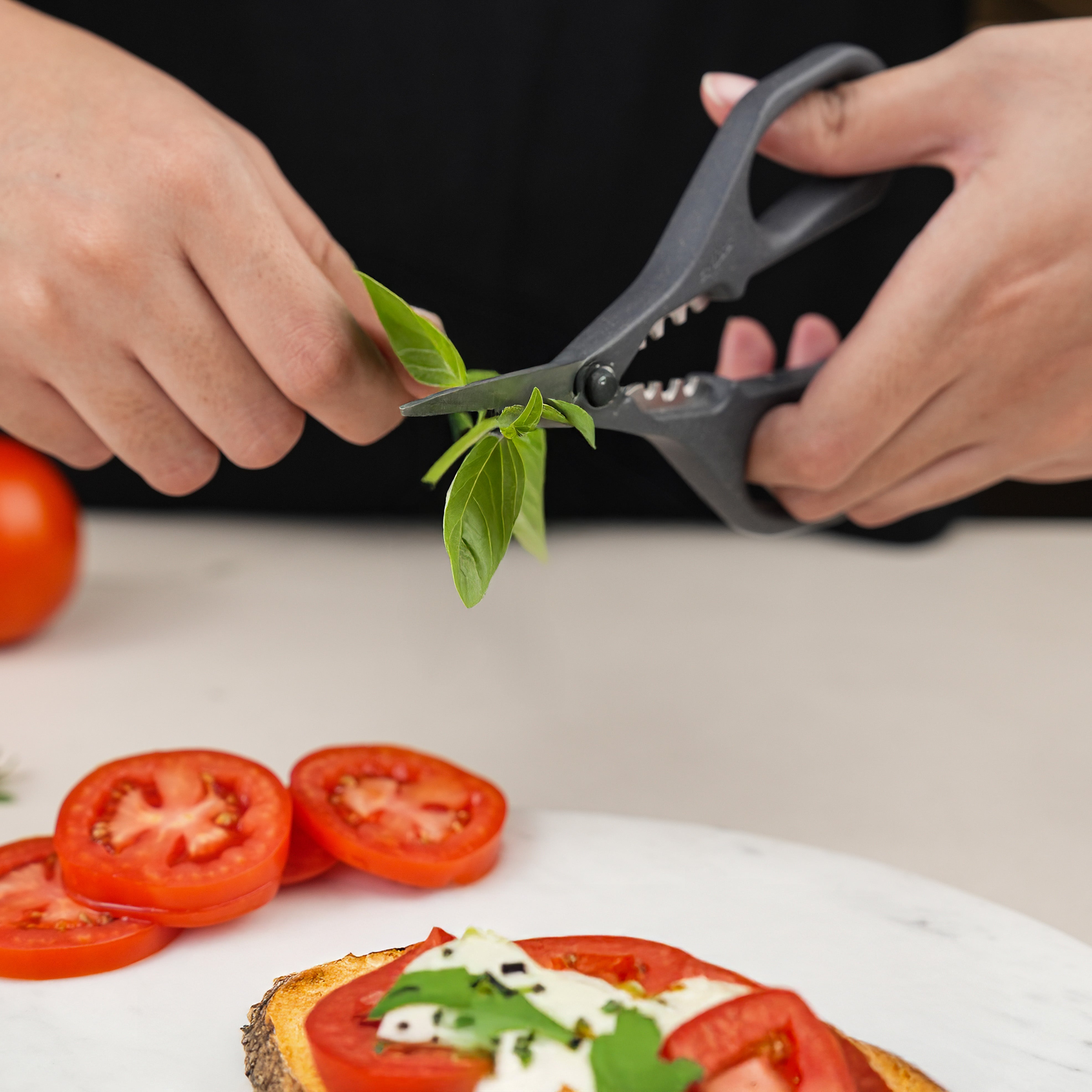 Zyliss Herb Snippers, Stainless Steel Blades, Eco Handle, Stem