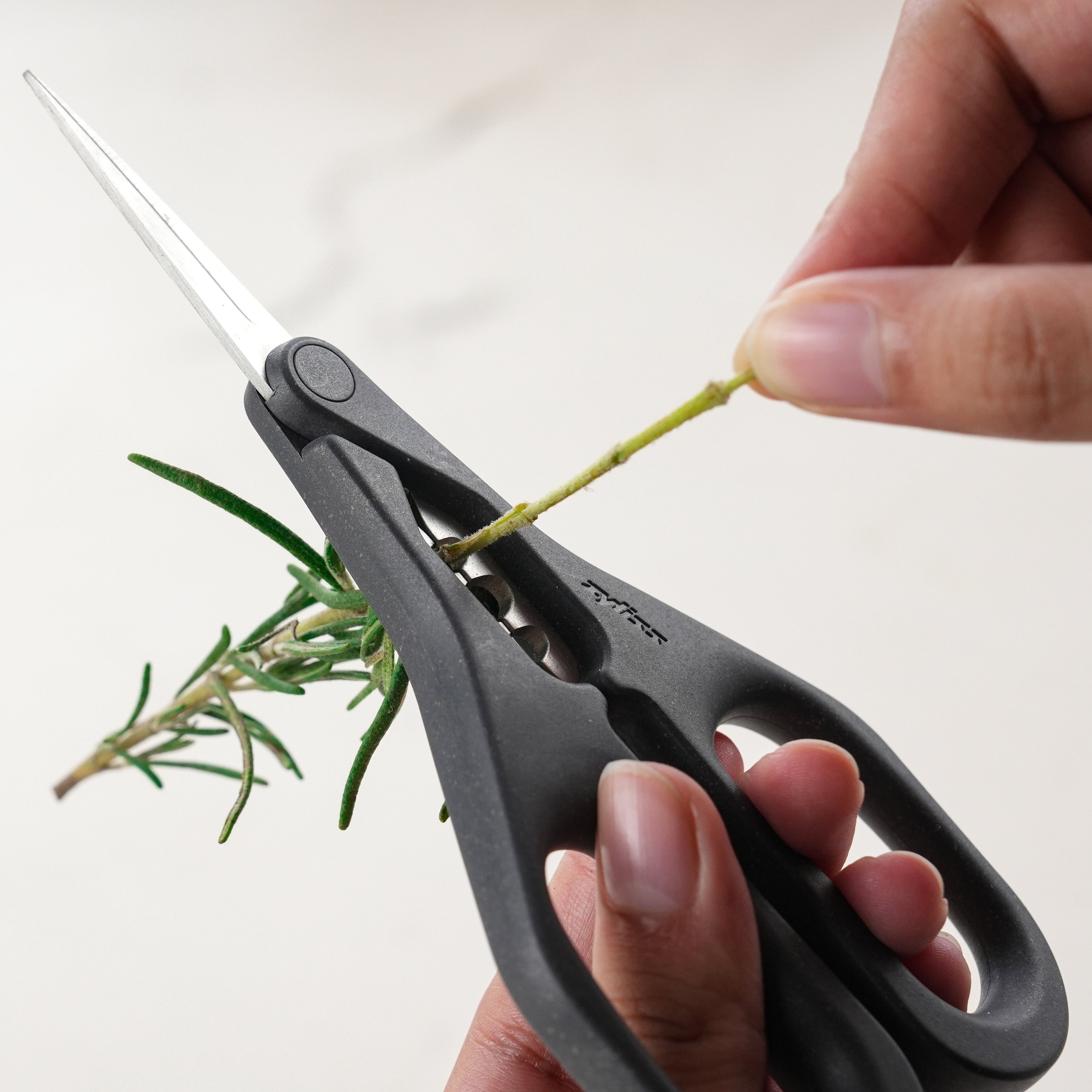A close-up of hands using Zyliss Herb Snippers with stainless steel blades to cut a green rosemary stem against a plain light background.