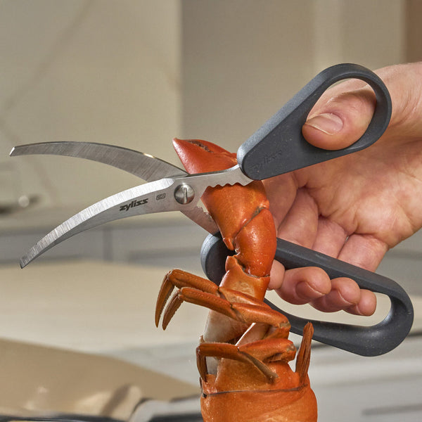 A hand uses Zyliss Seafood Scissors to cut through a cooked lobster shell in the kitchen, making shellfish preparation easy and efficient.